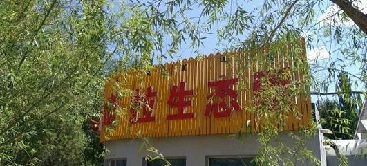 银肯塔拉沙漠生态文化旅游区第 18 张图片