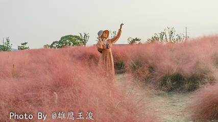九龙湾花星球第 29 张图片