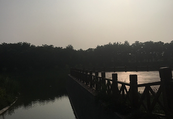美玉桃源第 2 张图片