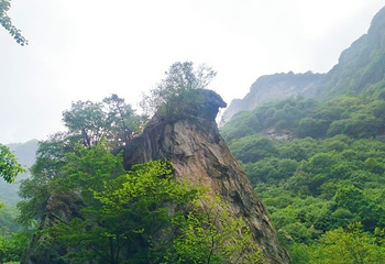 少华山国家森林公园第 47 张图片