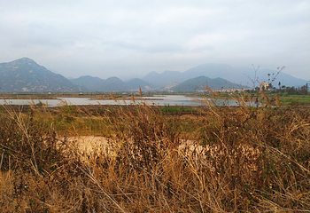 银湖湾渔家风情庄园第 6 张图片