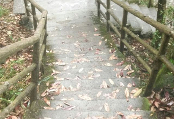东天目山景区第 40 张图片