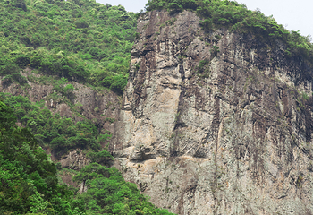 九龙山国家级自然保护区第 6 张图片