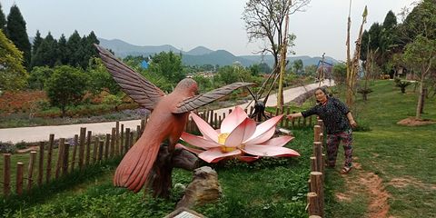中国香山寿香谷第 10 张图片