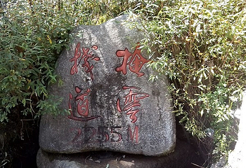 黄捻子森林公园第 21 张图片