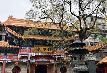 佑民寺第 11 张图片