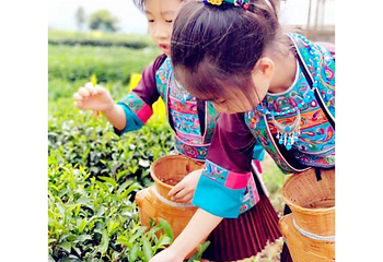 仙人山景区第 38 张图片