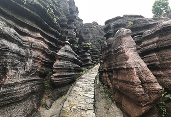 酉阳红石林景区第 18 张图片