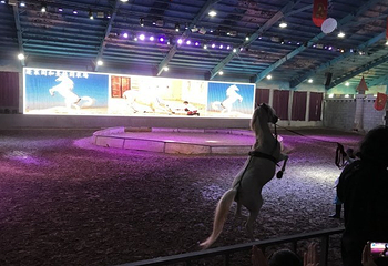 蓬莱阁和圣休闲农场第 37 张图片