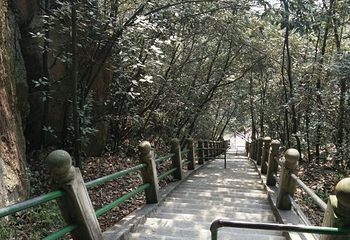 西径山第 23 张图片