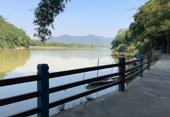 绥江竹海生态旅游景区第 21 张图片