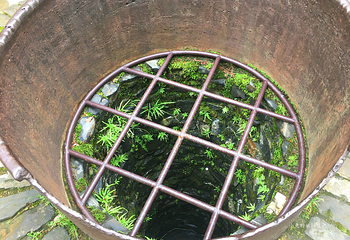 龙山岛第 25 张图片