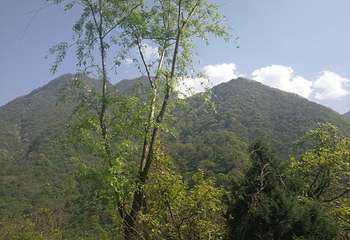 嘉陵江源头景区第 22 张图片