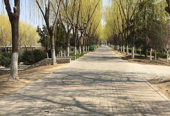 青口生态公园第 5 张图片