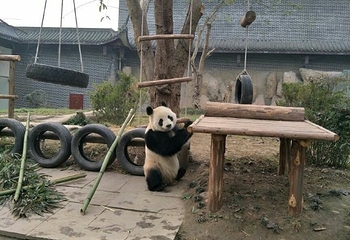 仙芝竹尖生态园第 19 张图片