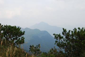 龙泉山旅游区第 61 张图片