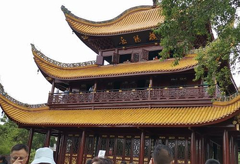 洞庭湖第 246 张图片