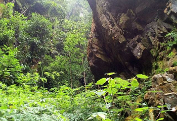 百崖大峡谷第 18 张图片