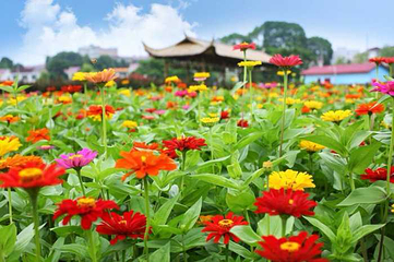 浏阳万花卡通园第 20 张图片