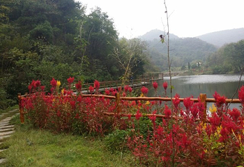 大别山风情谷第 39 张图片