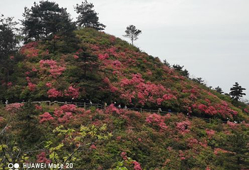 木兰云雾山第 74 张图片