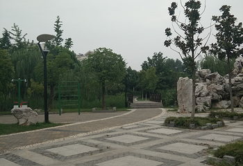 泗阳县城市森林公园第 9 张图片