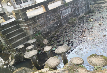 新安碑园第 3 张图片