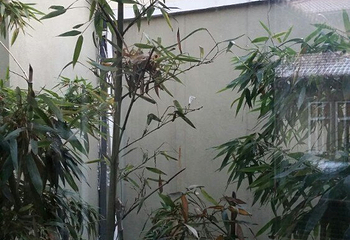 芭东小镇温泉第 13 张图片