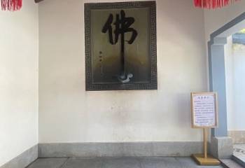 舟山市普陀山风景区-紫竹林第 12 张图片