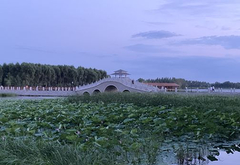 莲花湖公园第 6 张图片