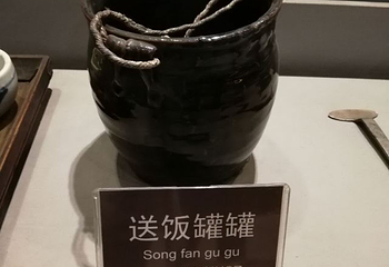 贾家庄生态园恐龙灯会第 12 张图片