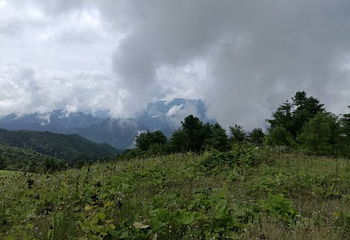巴山大草原第 23 张图片