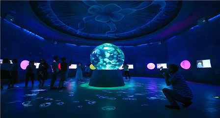 日照海洋公园第 32 张图片