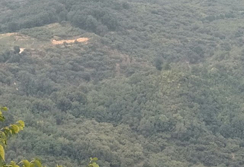 前南峪生态观光旅游区第 28 张图片