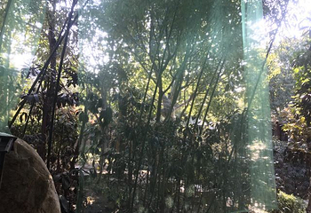 观唐温泉第 68 张图片