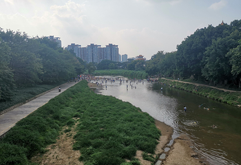 龙岗龙园第 16 张图片