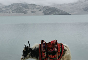慕士塔格峰-喀拉库勒湖景区第 35 张图片