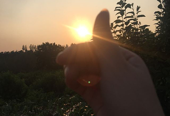 萤火虫水洞第 32 张图片