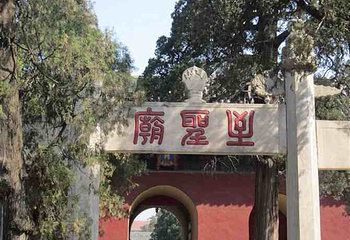 石门山国家森林公园第 16 张图片