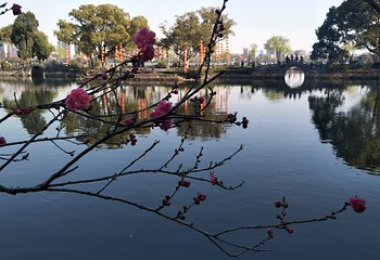 蠡园第 73 张图片