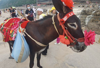 中国（太原）煤炭交易中心第 6 张图片