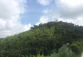 保驾山第 17 张图片