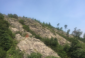 临海大火山第 14 张图片