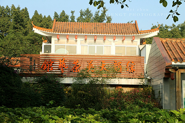 剑英公园第 18 张图片