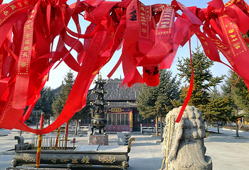 药泉山钟灵禅寺第 7 张图片