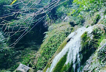 德庆盘龙峡生态旅游区第 47 张图片