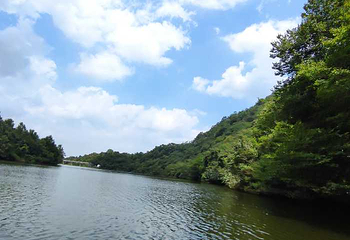灵龙湖生态文化旅游区第 15 张图片
