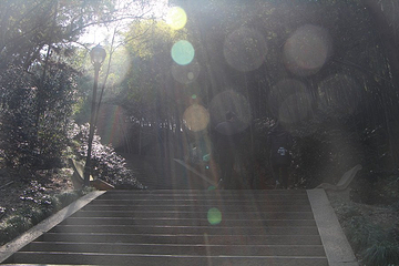 峙山公园第 13 张图片