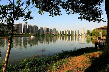 月湖公园第 10 张图片