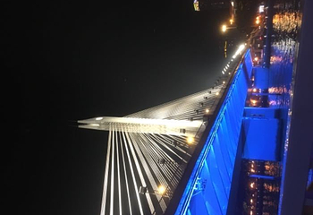 珠江夜游蓝海豚游船第 27 张图片